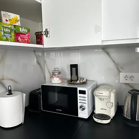 Great View & Parking - Harmony Premium טימישוארה